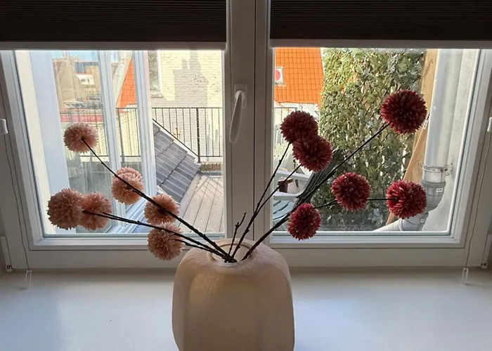 Daire Homes By The C